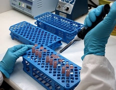 Molecular Virology Department
